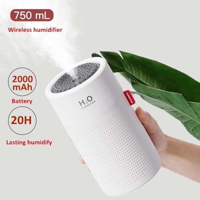 Humidificateurs 340ml humidificateur d'air mini cactus aromathérapie  diffuseur plante humidificateur pour maison rechargeable