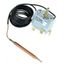 DIFF pour Chapp/ée DIFF S17006955 Thermostat TG400 capillaire 2M