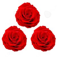 CONFO® Fleur éternelle 6-7cm 3 cadeau de fleur de tête de rose, cadeau de Saint Valentin, cadeau de fleur de fleur éternelle de rose