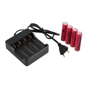 4x piles AA rechargeables - avec cordon de chargement / chargeur