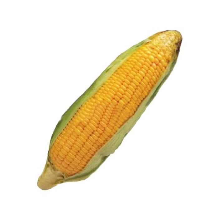 Jouet,Jouets pour chiens Résistant à la morsure, jouet pour chiot en coton, petits jouets interactifs, baguettes de - Type Corn