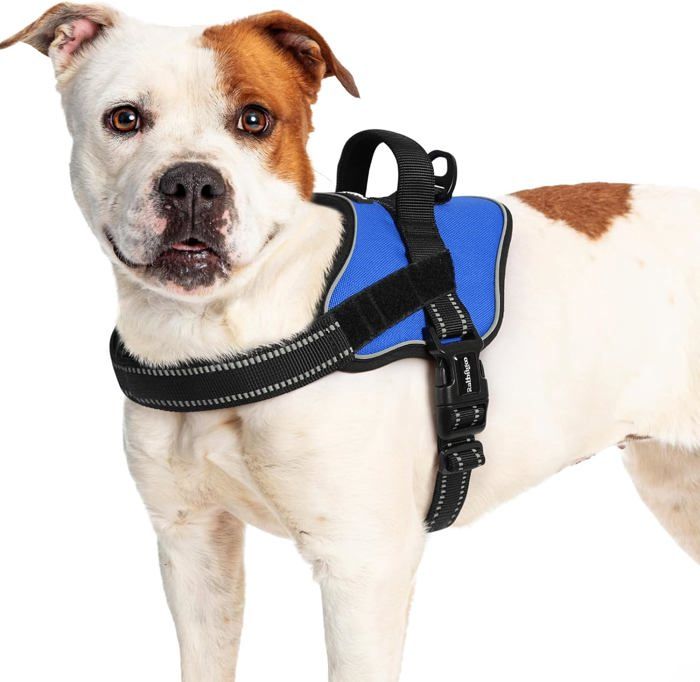 Meilleurs prix pour Harnais Chien Harnais Anti Traction pour Chien Réfléchissant Réglable Respirant Facile à Mettre avec Poignée Contrôle Bleu L