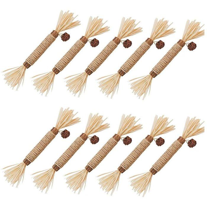 Comparer les prix de 10 Pices Jouets Mcher en Vigne dArgent pour Chats Outils de Nettoyage Dentaire PZCC