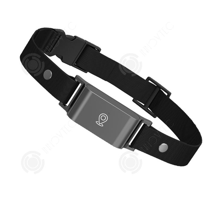 Comparer les prix de INN Collier de Dressage 25 pouces 500mAh autonomie veille 6 jours GPS en temps réel clôture électronique suivi historique