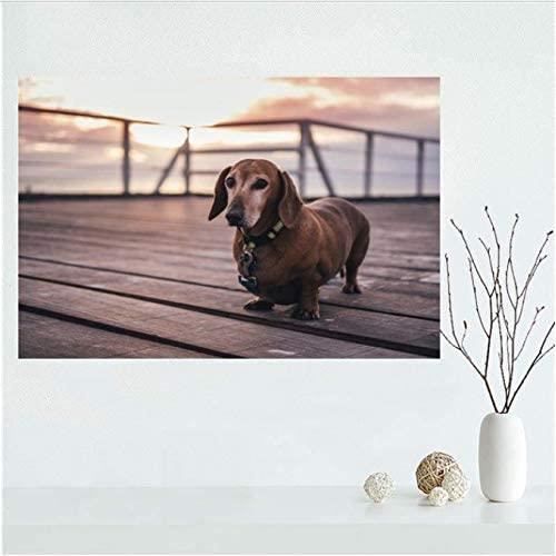 UNUS® Bordure De Jardin En Métal D'aspect Rouillé 20cm X 5m