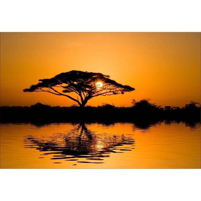 Stickers Muraux Deco Coucher De Soleil Afrique Dimensions 40x59cm Cdiscount Maison