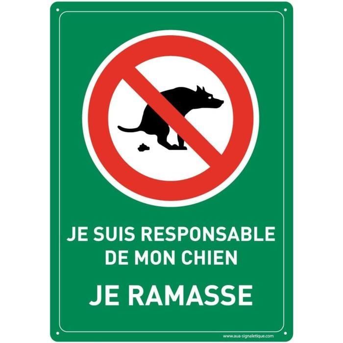 Panneau Parking Handicapé PVC 1.5mm - 150x210mm Prépercé 4 Trous - Signalétique Française AUA