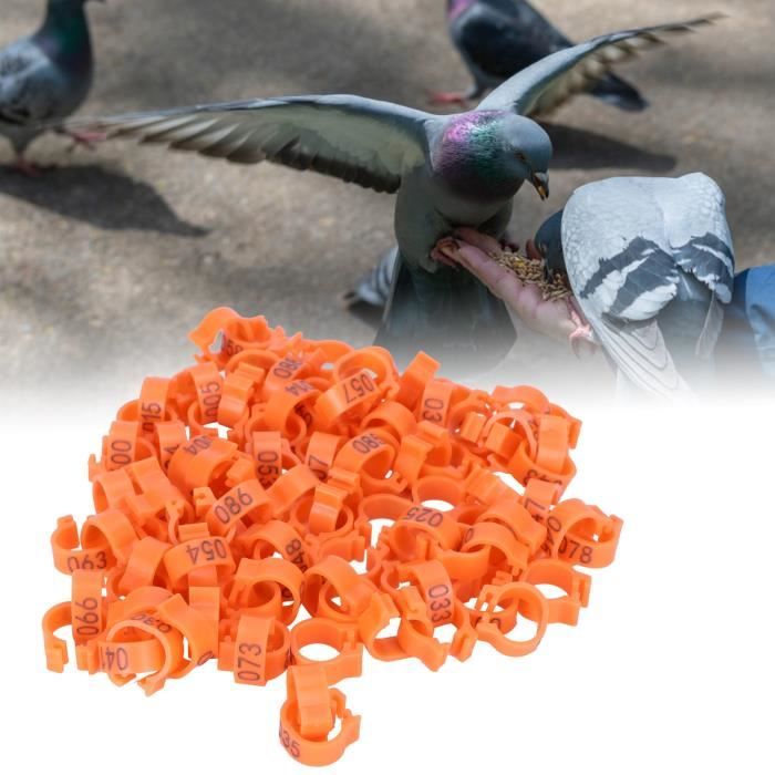 Meilleurs prix pour 100pcs Bague d'identification  Pigeon pied anneau Pigeon pied anneau avec mot boucles(orange) HB036