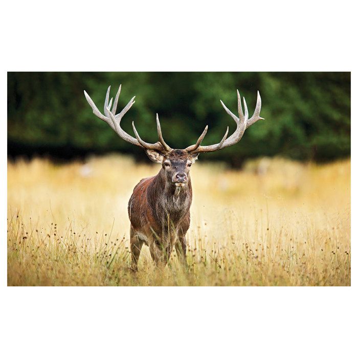 Kpop Stray Kids Poster Sur Toile, Art Mural Moderne, Image Esthétique Pour Décoration De Chambre Et De Salon, Sans Cadre, 30 X 45 Cm