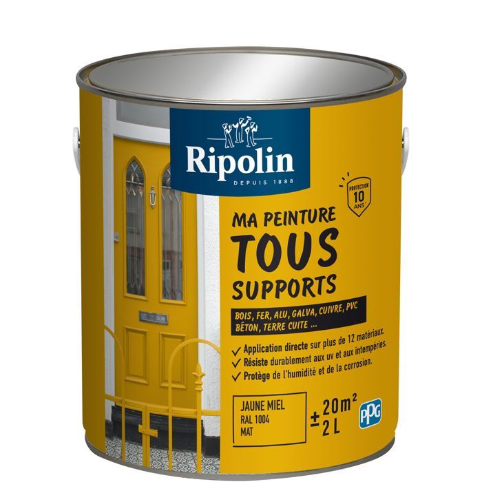 Peinture multi-supports - Jaune miel - RAL 1004 - Mat
