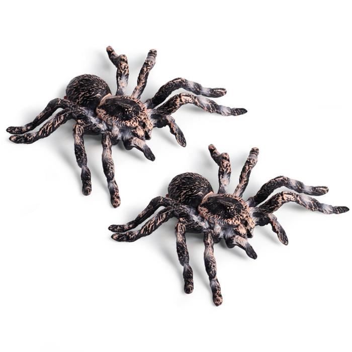 Lot De 2 Attrape-Insectes Transparent Extra-Long - Outil De Capture Araignées Et Insectes Sans Contact