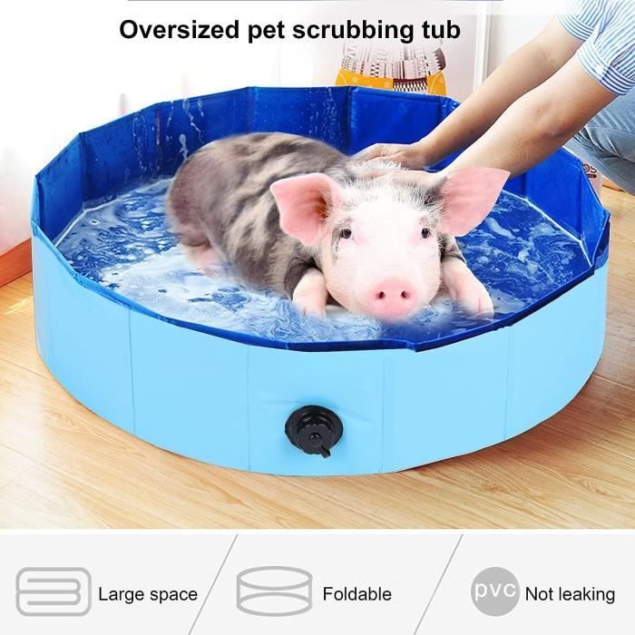 Piscine Pliable Pour Chien Et Chat - 50x50x10 Cm - PVC étanche, Fond Antidérapant - Intérieur Et Extérieur, Transport Facile - 6
