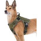 Rabbitgoo Harnais Chien Harnais Tactiques pour Chien-XL Vert armée Réglable Résistante pour Randonnées et Chasse