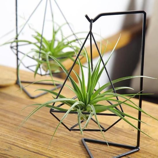 Sertay Support De Plante En Pot De Fer, 9.1*2.6inch Suppor à Fleurs En Fer Forgé, Pour Plantes, Support à Fleurs Rond, Pour Jardin Intérieur / Extérieur, Bureau, Salon, Balcon(Noir