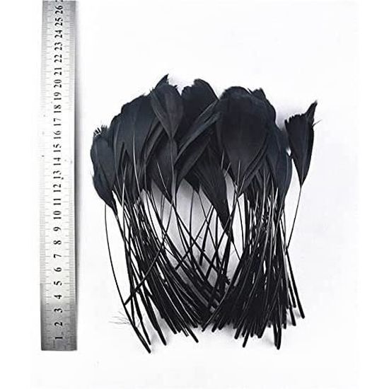 Set 50pcs Plume de Coq Teint Décoration Cheveux Chapeaux Vêtements Noir