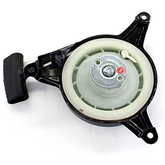 Carburatore Per Tosaerba Royal Einhell RPM 51 S / BG-PM 46 - Foto 1