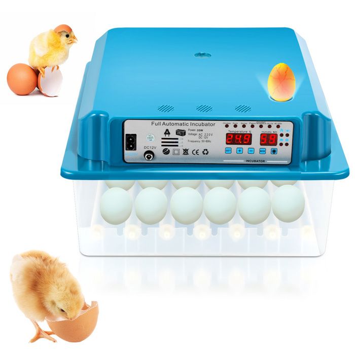 Meilleurs prix pour Eulenke Couveuse Thermomètre à œufs de poule Couveuse Incubateur pour 36 œufs de poule COUVEUSE INCUBATEUR
