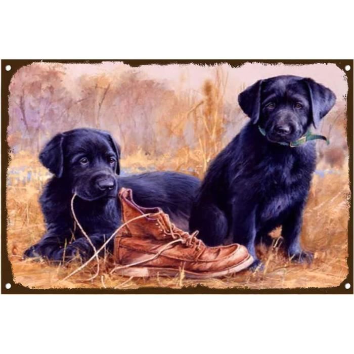 Plaque Métal Vintage "Rise And Shine" 20x30cm - Décoration Murale Rétro Poulet Pour Cuisine, Bar, Café, Salon