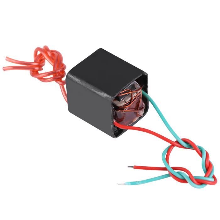 Module Générateur Haute Tension 1000KV - Transformateur Arc électrique Pour Expériences Scientifiques
