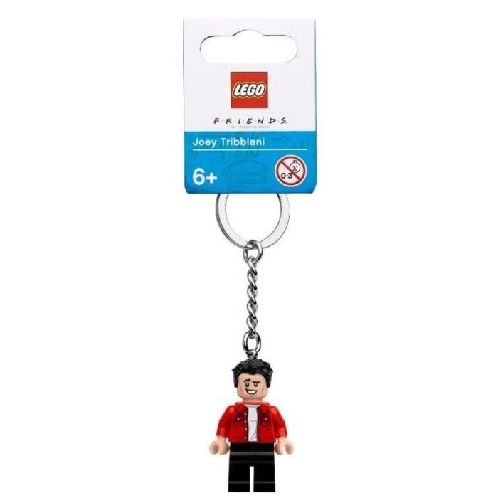 Porte Clés LEGO Friends - Joey Tribbiani - Cdiscount Bagagerie -  Maroquinerie