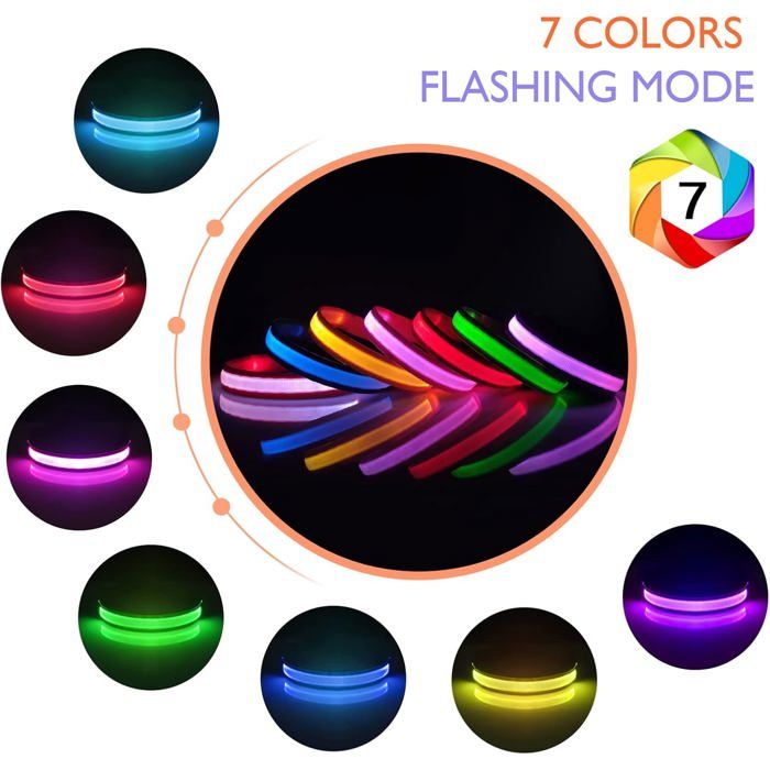 Collier clignotant personnalisé USB rechargeable à LED pour chien collier en sil
