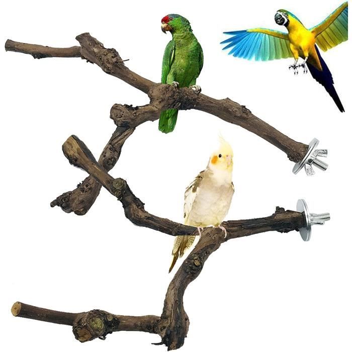 Perchoir Oiseaux, Bois Pieds Perchoirs, Perchoir Perroquet en Bois
