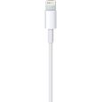 Cable APPLE Lightning To USB cable 1 M-2