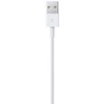 Cable APPLE Lightning To USB cable 1 M-3
