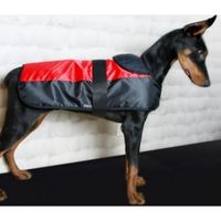 manteau imperméable pour chien