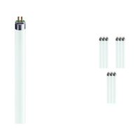 Lot 10x Philips MASTER TL5 HO 54W - 840 Blanc Froid | 115cm
