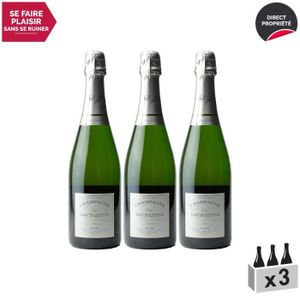 CHAMPAGNE Champagne Demi-sec Blanc - Lot de 3x75cl - Champagne Daubanton - Cépages Chardonnay, Pinot Noir, Pinot Meunier