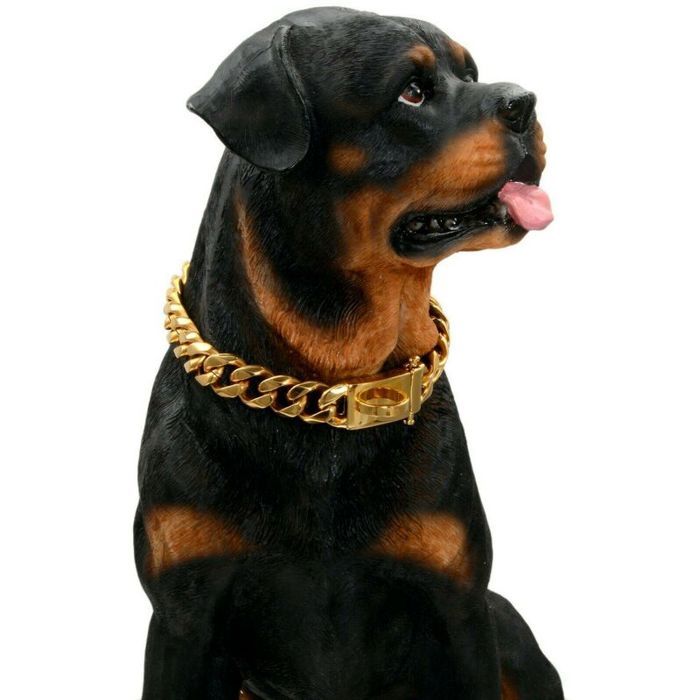 Meilleurs prix pour Collier en pour Chien en Or avec Boucle de Conception sécurisée, résistant à la Mastication(Or, 18'')