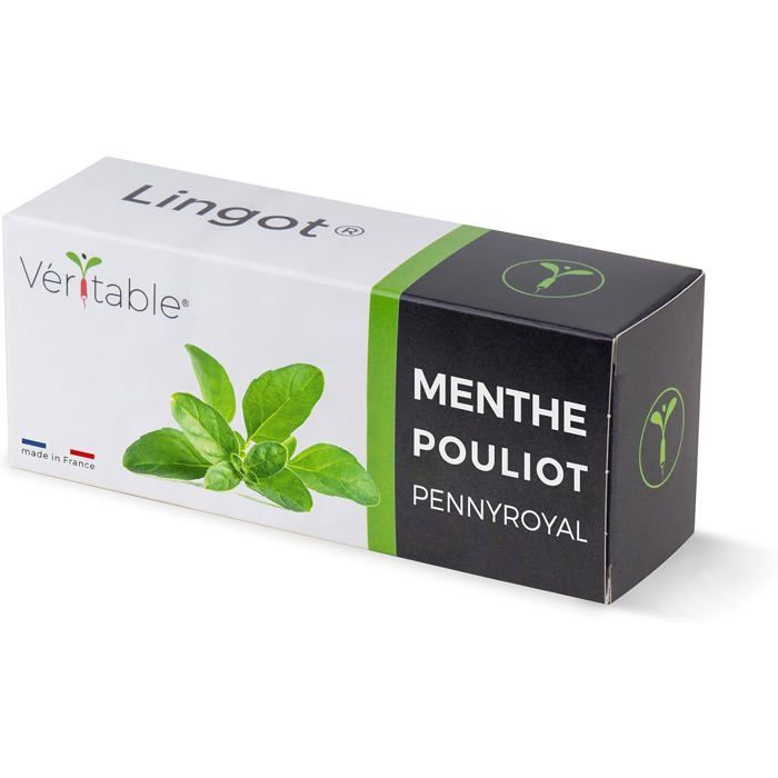 Lingot Cerfeuil BIO Véritable - Recharge Potager Intérieur, Substrat Et Graines Intégrés