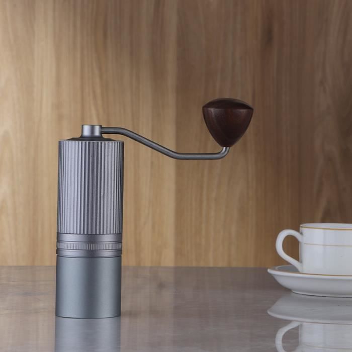 Rodison Moulin à Café Manuel 35 Réglages - Meules Céramique Portable 30g Pour Espresso Et Filtre