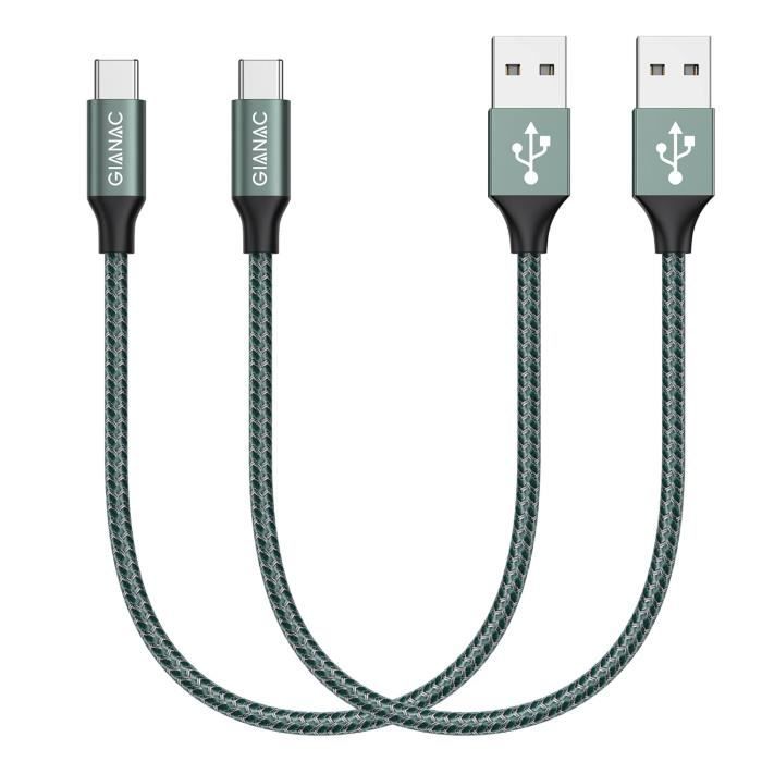 DeleyCON 1m Câble USB C (Charge Rapide 100W & 5 Gbit/s) Câble De Charge USB