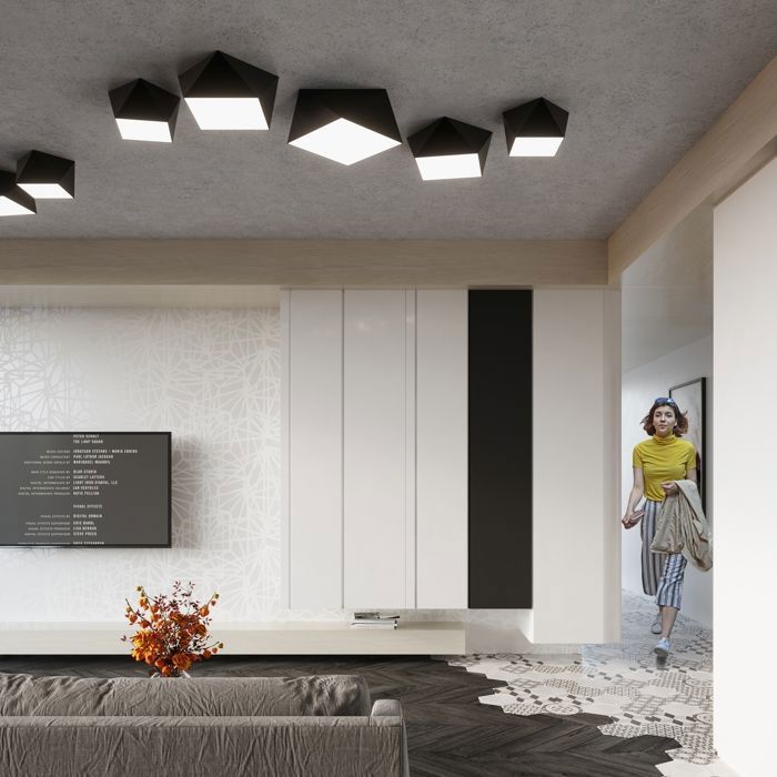 Plafonnier HEXA 25 Noir Moderne Intérieur Lampe pour Chambre Salon E27