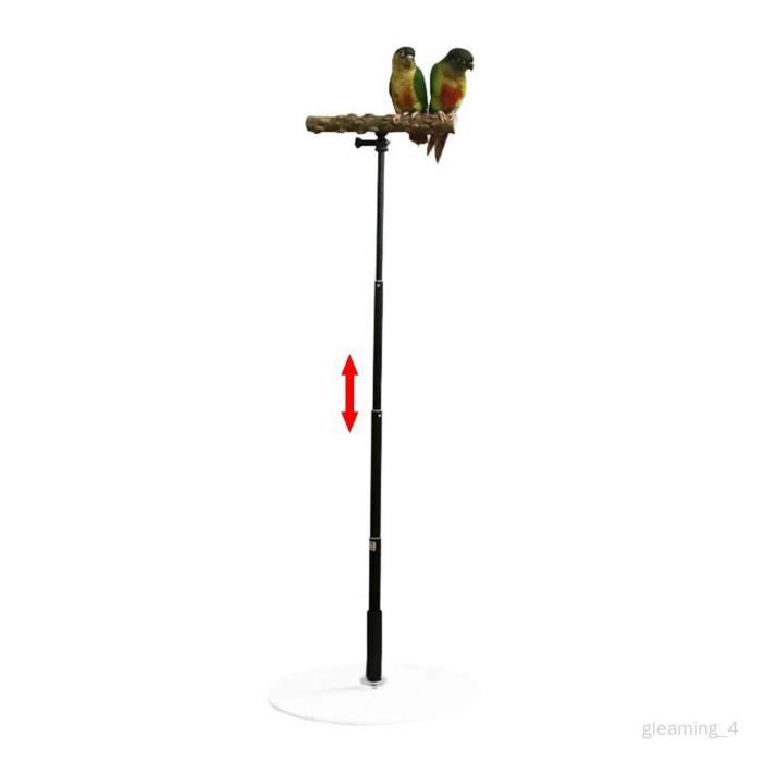 Perroquet En Bois Table Perchoir Support D'oiseau  – Grandado