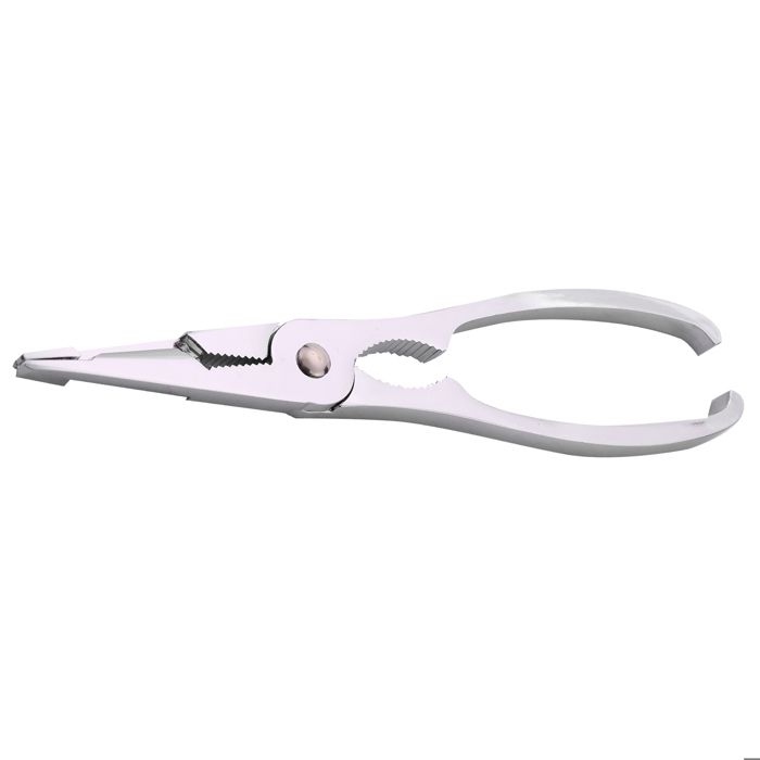 BESTONZON 12 Fourchettes à Fruits De Mer En Acier Inox - Outils Crabe, Homard & Coquillages Parfaits !