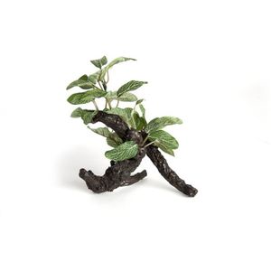 FLEUR ARTIFICIELLE Reptech Plante Artificielle Petit Ficus Sur Branch