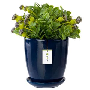 Soucoupe Pour Pot De Fleurs Terre Cuite 36 Cm - Plastique Aspect Terre Cuite, Stable, Design Moderne