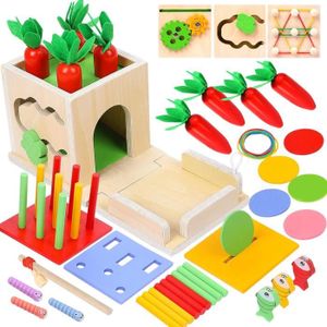 COFFRET CADEAU JOUET Jeux Montessori Bois Avec Trieurs Forme De Carotte