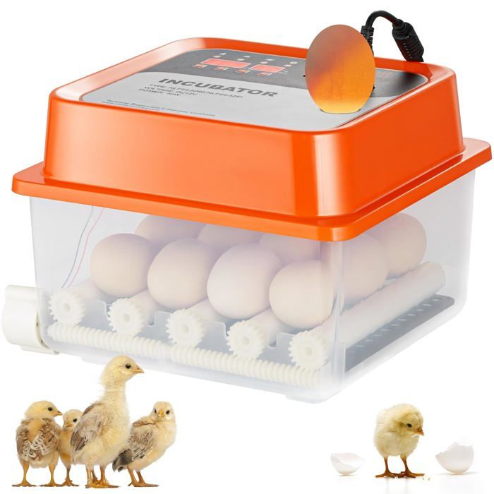Couveuse Oeufs Automatique 15-36 Oeufs Avec Retournement Et Contrôle Température - Incubateur Poule Canard Caille