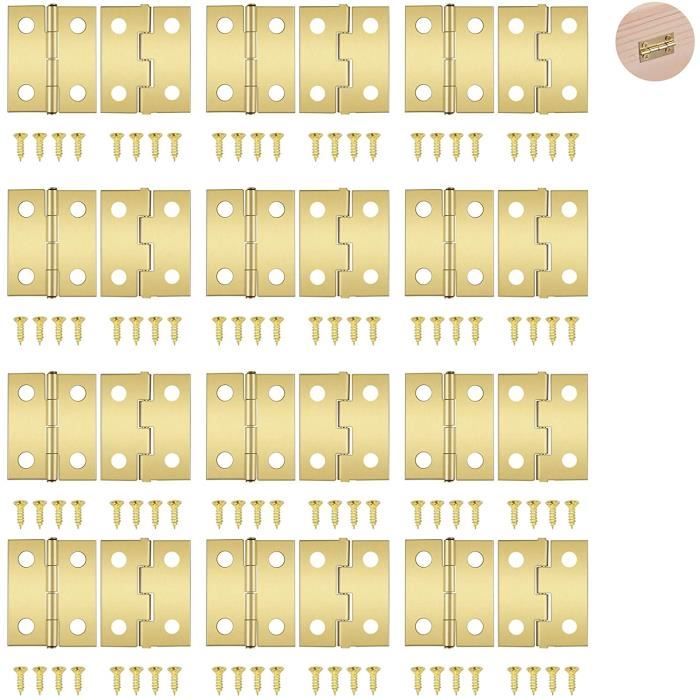 100 Pièces Mini Charnières, Mini Charnières Charnières Rétro avec 400 Pièces de Vis de