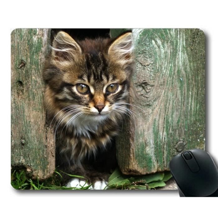 Tapis De Souris De Jeu Tapis De Souris Chat Chaton Cloture Tapis De Souris Pour Ordinateur Cat170 Cdiscount Informatique