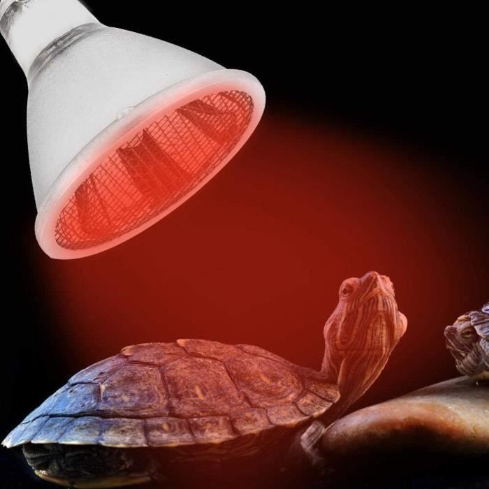 Lampe chauffante pour reptiles - ATYHAO - LED 25W - Lumière infrarouge -  Filetage standard E27 - Cdiscount Electroménager