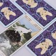 78 cartes Deck Tarot de chats païens Full English Family Party Board Jeux Oracle Cartes d'astrologie Divination Card-2