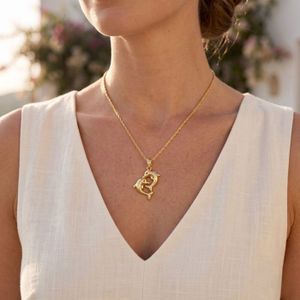 Lily Charmed Collier Enfant Dauphin - Argent Sterling 925 - Longueur 35 Cm