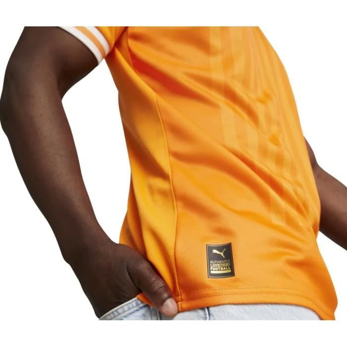 Acheter maillot cote de ivoire blanc vert orange edition speciale version  joueur 2023-2024