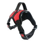 LESHP Harnais Chiens Domestiques Gilet Haute Qualité- Taille S Rouge - Animaux Chien Laisse Colliers