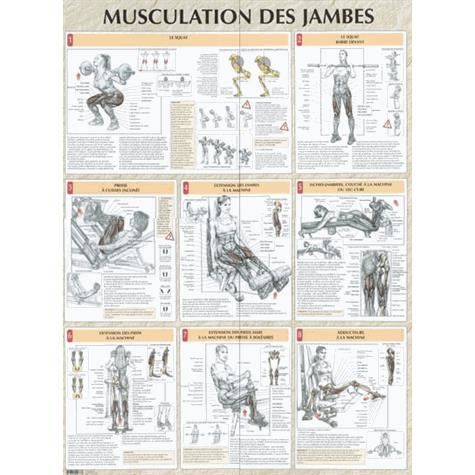 Musculation des jambes